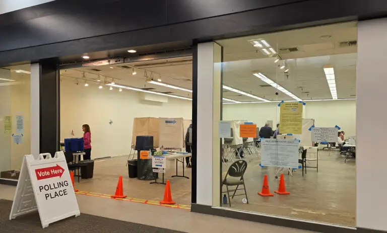 Early & Absentee Voting in the Mall